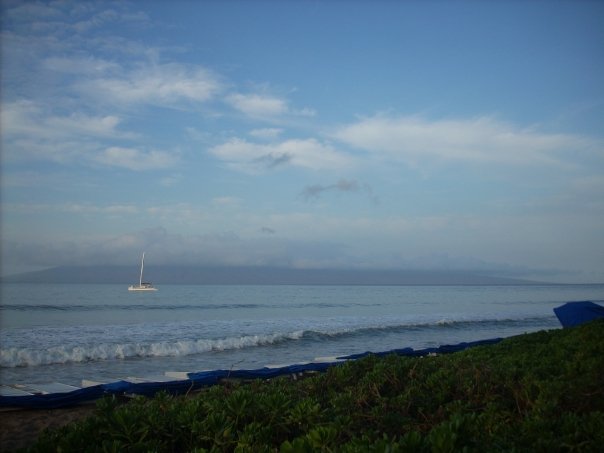 1824_1076901444354_4377_n