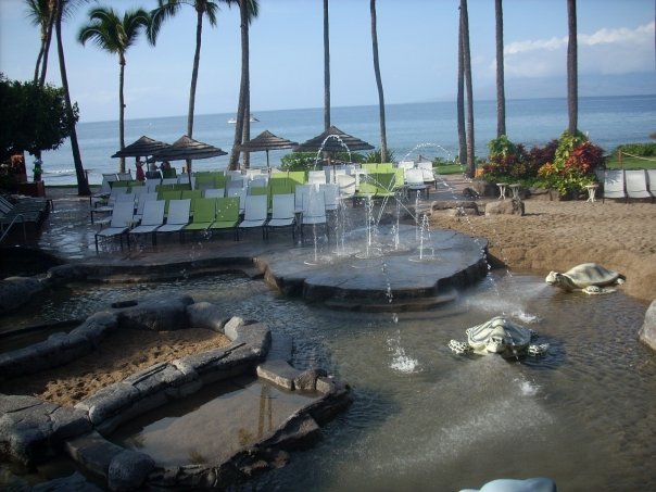 1824_1076901564357_5250_n