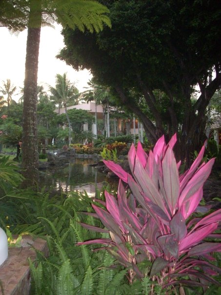 1824_1076902324376_9925_n