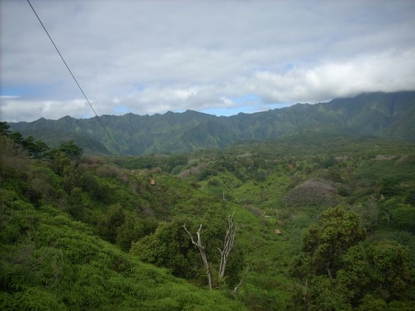 1824_1076902444379_927_n