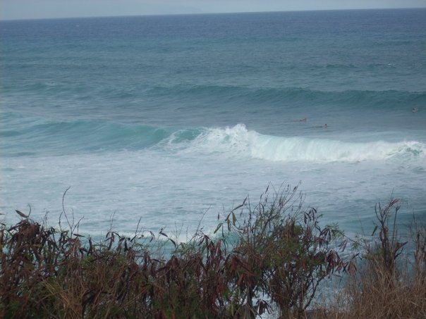 1824_1076902844389_4309_n