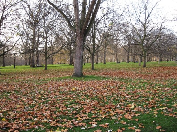 1917408_1293122969757_2579551_n