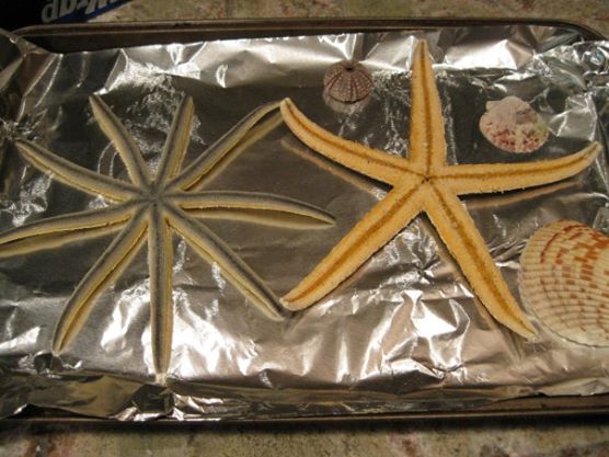 19578_1361981611180_6936872_n