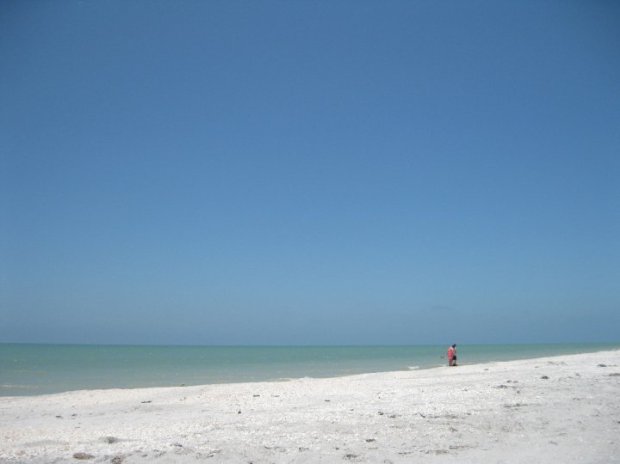 32034_1448296649002_3651009_n