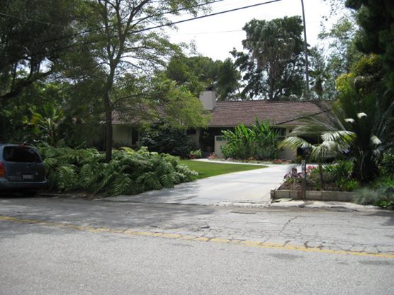 35565_1489811406845_515551_n