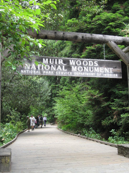 35565_1489820527073_7782761_n