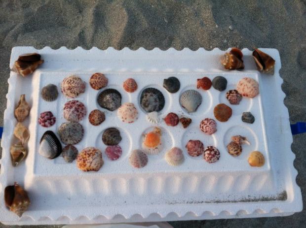 488227_4482914152543_1083614741_n