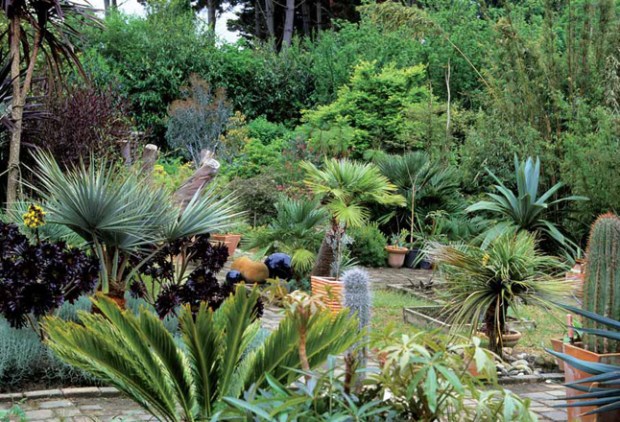 collection_eclectique