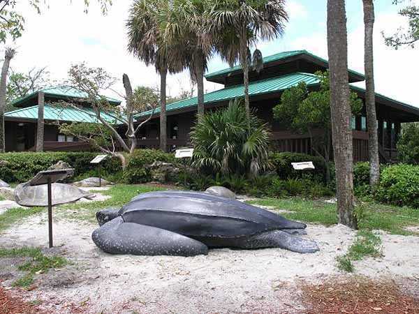 orl-travel-animal-guide-gumbo-limbo-nature-cen-009