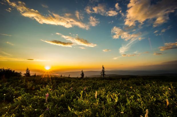 Midnight_Sun_Frank_Stelges